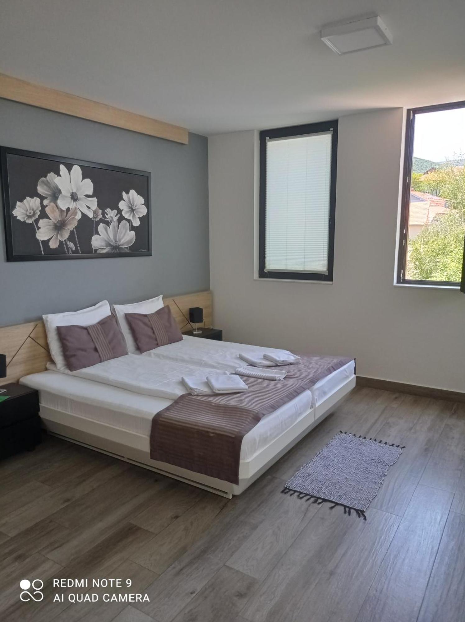 B&B Nataly 2 Soko Banja Exterior foto